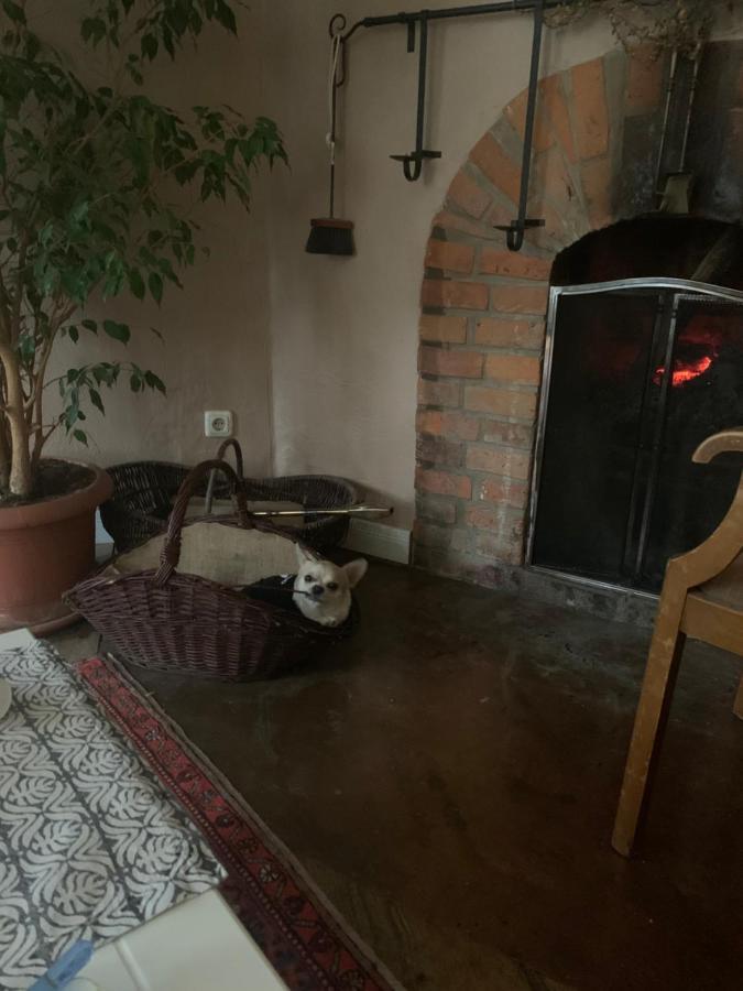 Apartament Gutshaus Schwarzenhof Dargun Zewnętrze zdjęcie