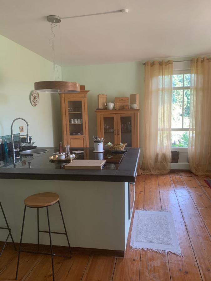 Apartament Gutshaus Schwarzenhof Dargun Zewnętrze zdjęcie