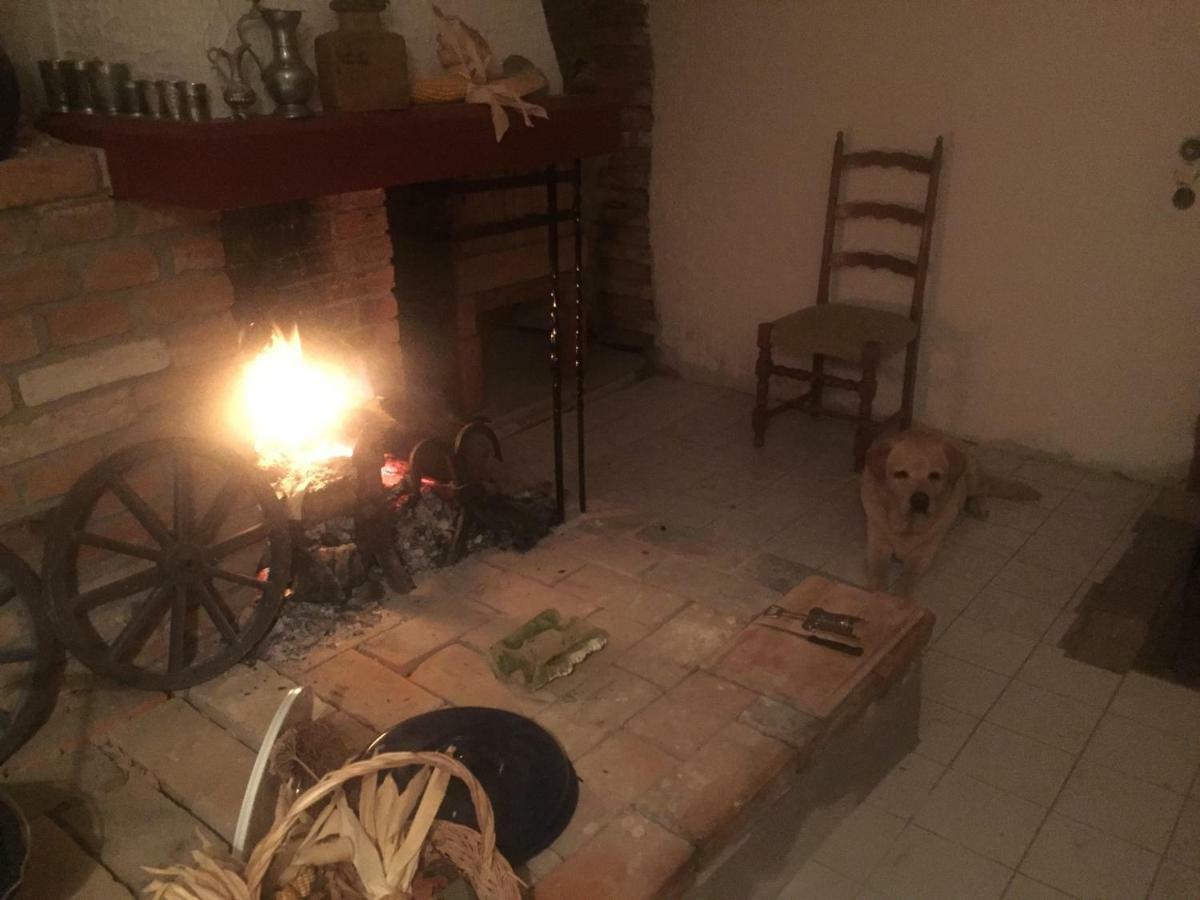Apartament Gutshaus Schwarzenhof Dargun Zewnętrze zdjęcie