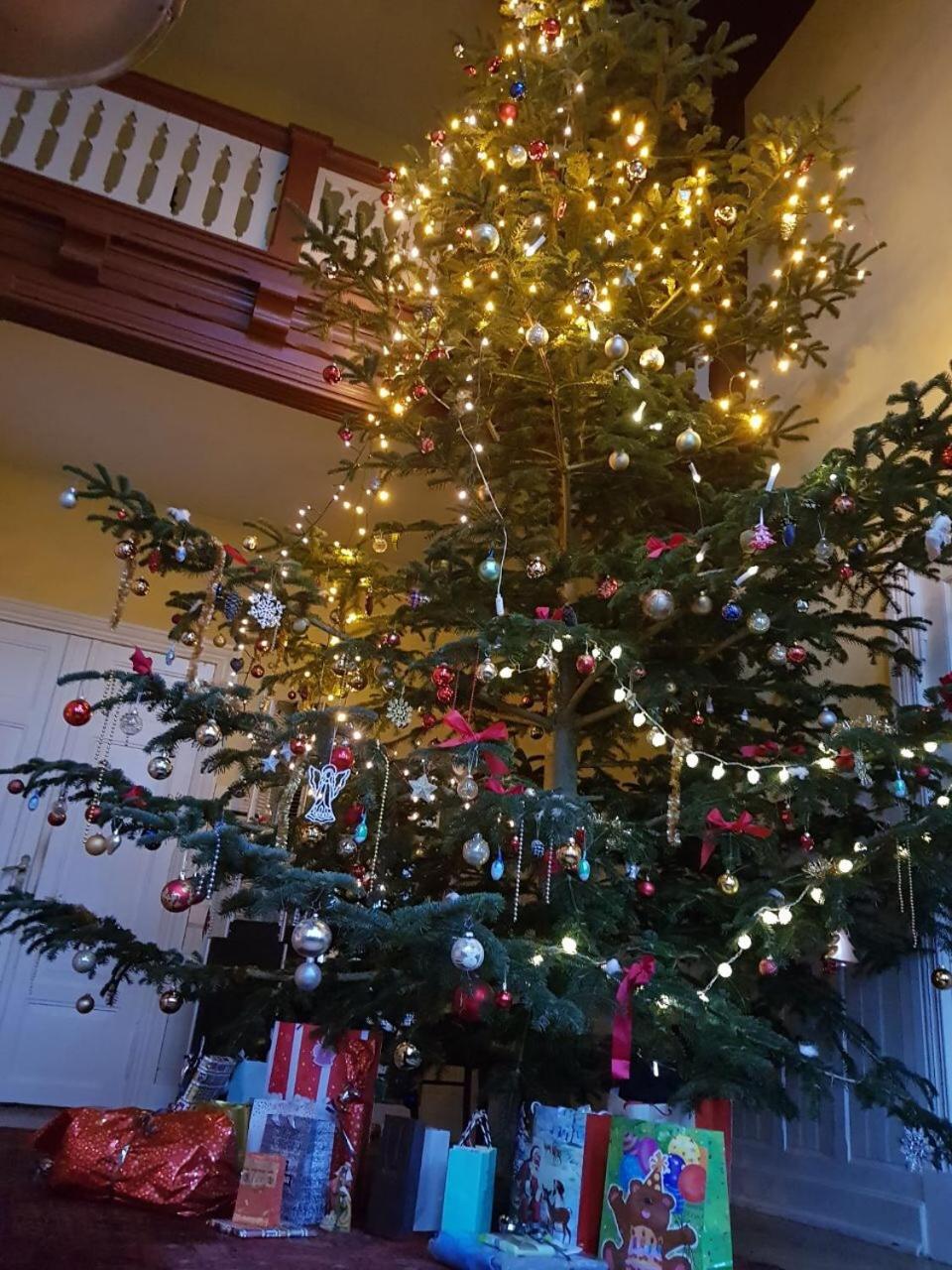 Apartament Gutshaus Schwarzenhof Dargun Zewnętrze zdjęcie