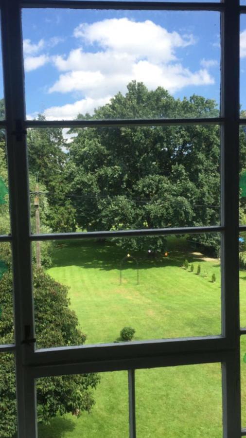 Apartament Gutshaus Schwarzenhof Dargun Zewnętrze zdjęcie